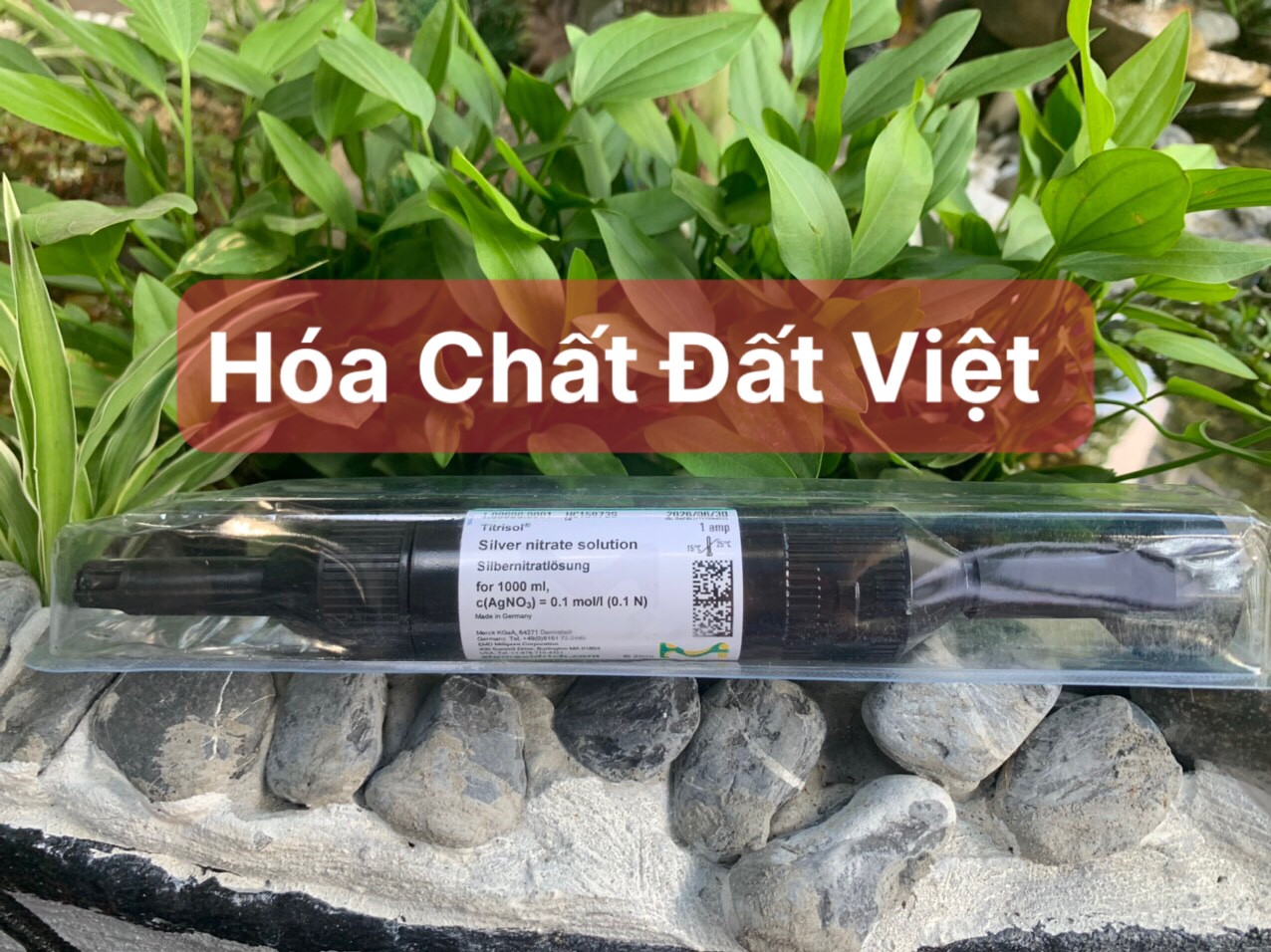 Đất Việt Chemistry