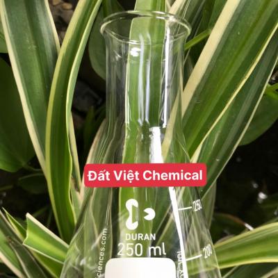 TAM GIÁC THỦY TINH - DURAN