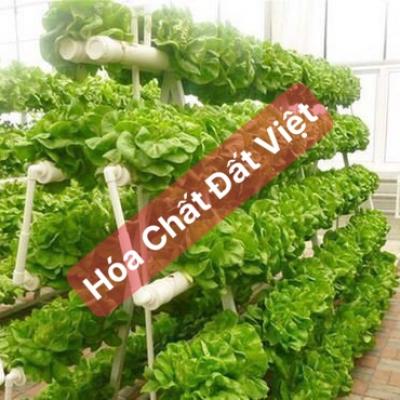 HƯỚNG DẪN PHA DUNG DỊCH THỦY CANH